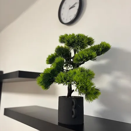 Agora
